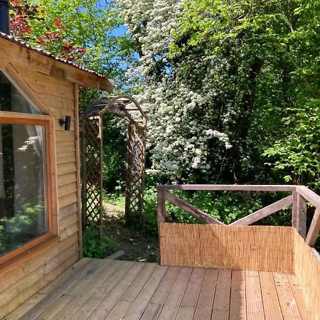 Honey Bee Cabin Llandysul Zewnętrze zdjęcie