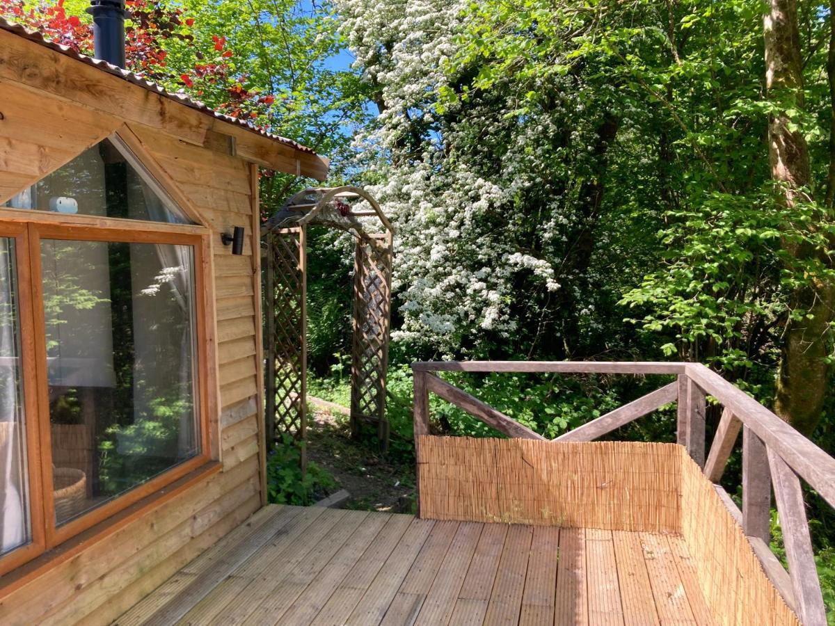 Honey Bee Cabin Llandysul Zewnętrze zdjęcie