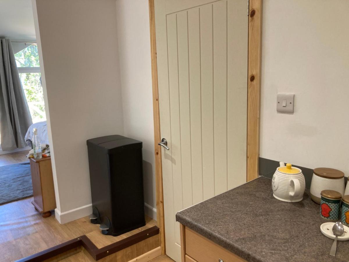 Honey Bee Cabin Llandysul Zewnętrze zdjęcie