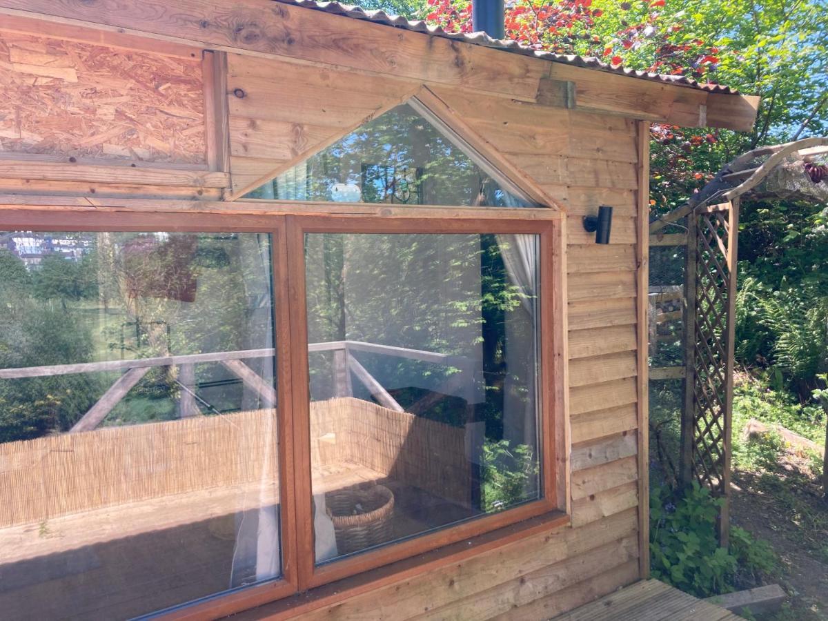 Honey Bee Cabin Llandysul Zewnętrze zdjęcie