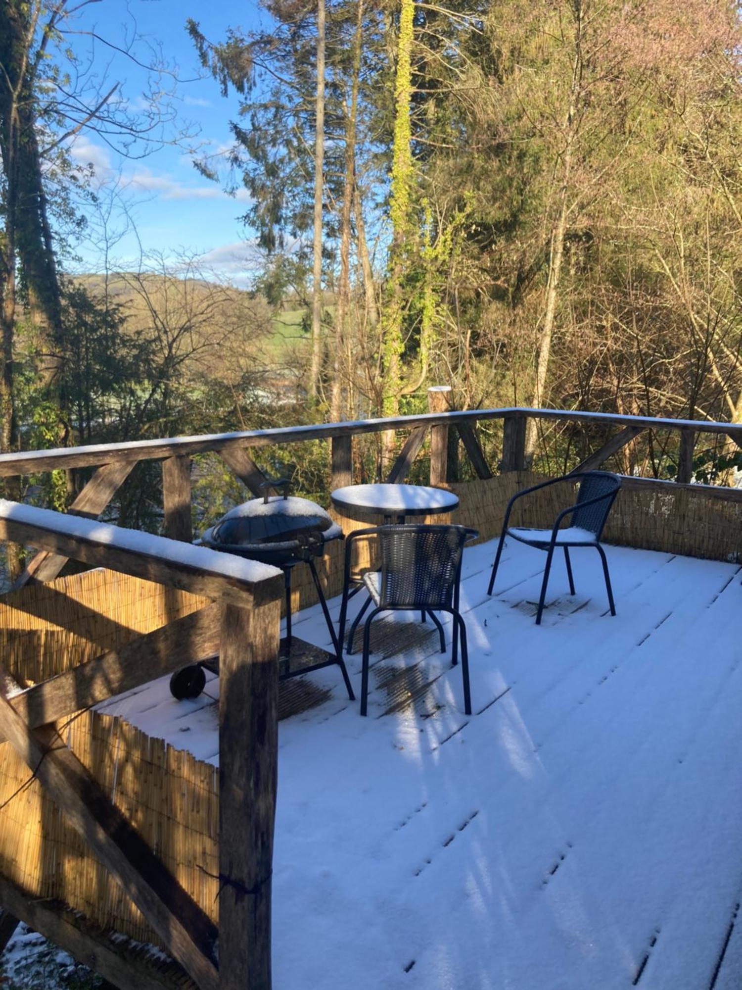 Honey Bee Cabin Llandysul Zewnętrze zdjęcie