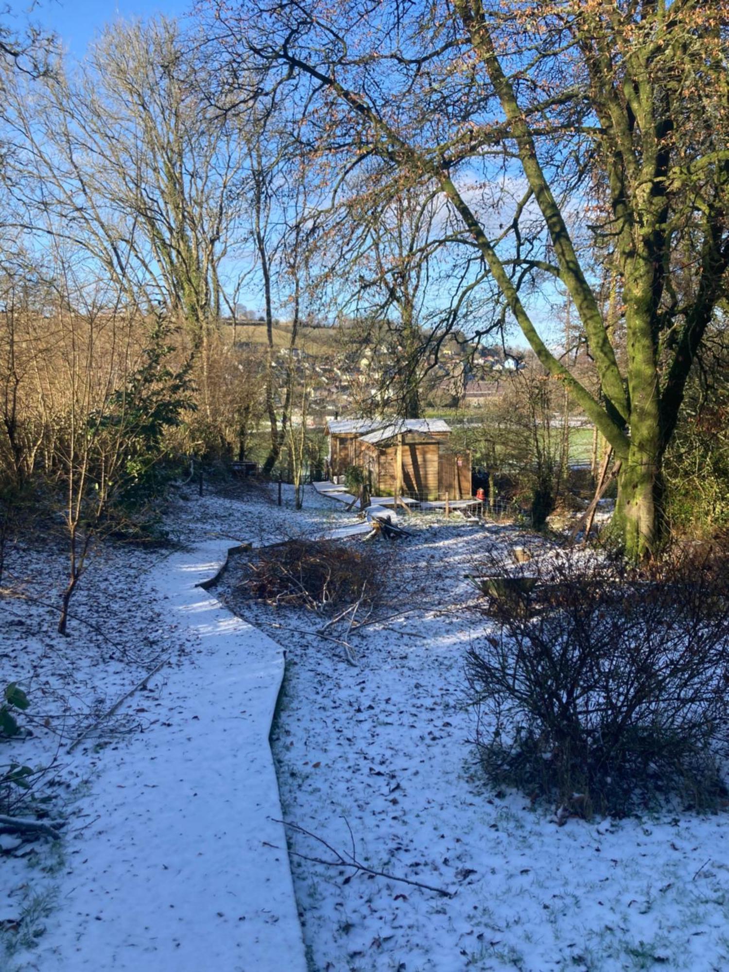 Honey Bee Cabin Llandysul Zewnętrze zdjęcie